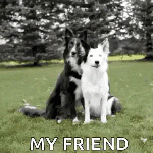 Dog Hugs GIF - Dog Hugs MyFriend GIFs