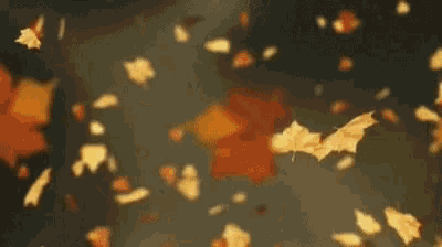 Happy Fall First Day Of Fall GIF - HappyFall FirstDayOfFall ...