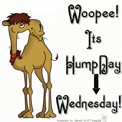 Wednesday Woope GIF - Wednesday Woope HumdDay - Discover & Share GIFs