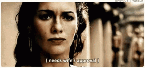 My Wife Need Wifes Approval GIF