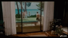 Forgetting Sarah Marshall Wedding Gif Forgettingsarahmarshall Forgetting Sarah Marshall Wedding Gif Forgettingsarahmarshall Hawaii Discover Share Gifs