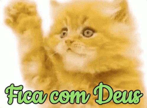 Gatinho / Fica Com Deus / Tchau / Se Cuida GIF - Cat GodBless Bye GIFs