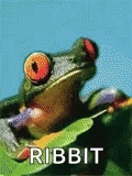 Image result for frog ribbit gifs