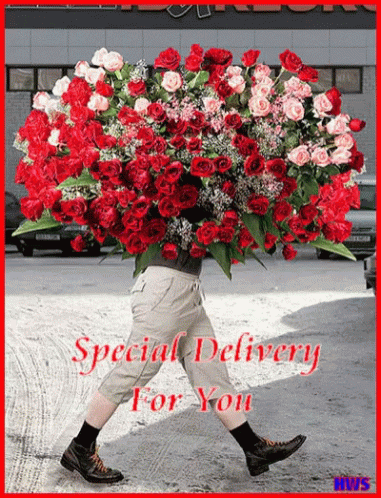 Flower Delivery Special Delivery GIF - FlowerDelivery SpecialDelivery