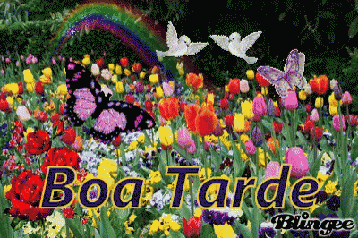 Boa Tarde Flores Do Campo Gif Boatarde Borboleta Passarinho