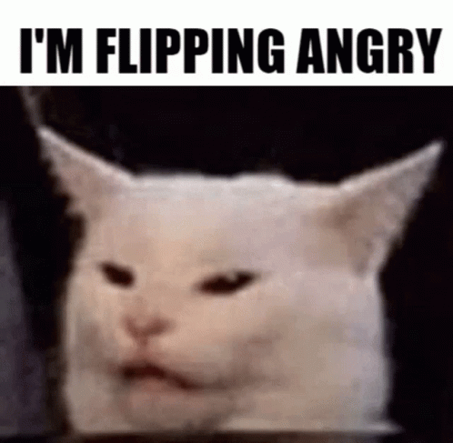 Angry Cat Meme Cute