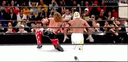 Rey Mysterio 619 GIF - ReyMysterio 619 ShawnMichaels - Discover ...