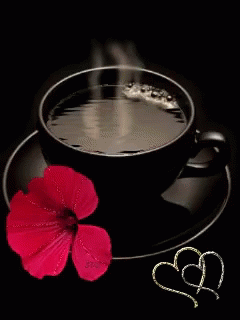 Steaming Hot Coffee GIFs | Tenor