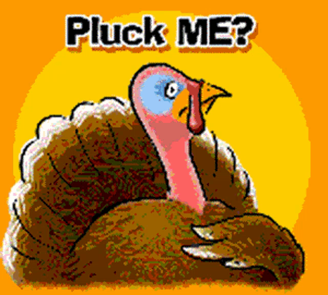 Thanksgiving Week Feast GIF - ThanksgivingWeek Feast Funny - Discover - Tenor Gif Keyboard Happy Thanksgiving