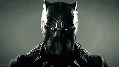 Black Panther Marvel GIF - BlackPanther Marvel Panther - Discover ...