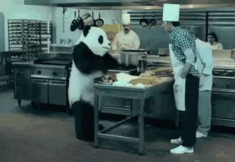 Image result for panda cheese gif