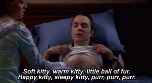 Image result for soft kitty gif