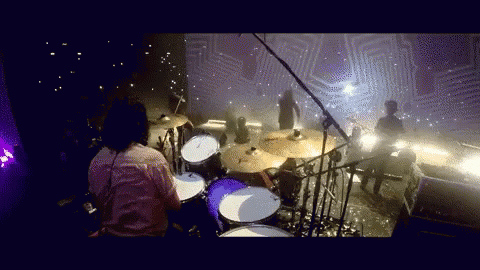 Resultado de imagen para enjambre banda gif
