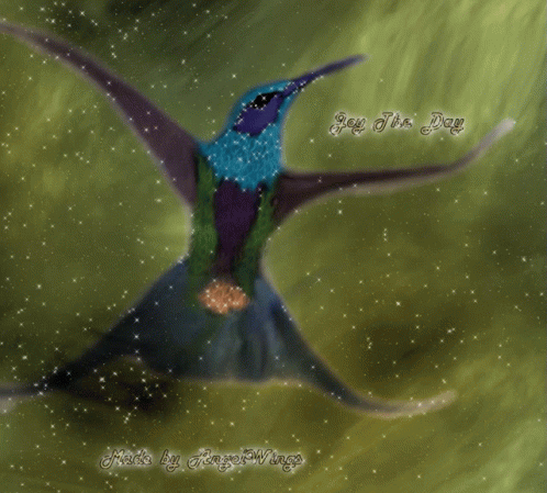 Joy Bird GIF - Joy Bird Glitters GIF's