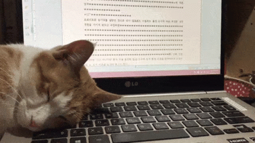 Cat Asleep GIF - Cat Asleep AsleepOnKeyboard - Descubre &amp; Comparte GIFs
