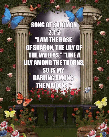 Image result for gif song of solomon bible