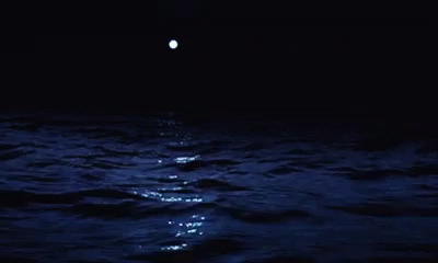 dark moonlight ocean