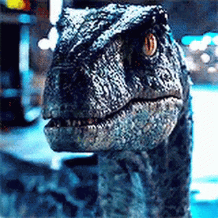 Blue Velociraptor GIF - Blue Velociraptor JurassicPark - Discover & Share GIFs
