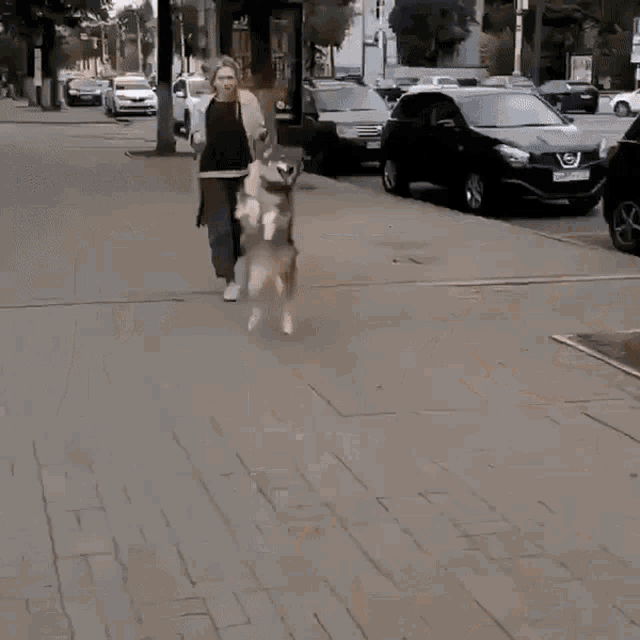 Dog On My Way Gif Dog Onmyway Ontheway Discover Share Gifs