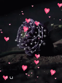 rose love gif rose love symbols discover share gifs