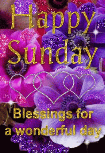 Have A Blessed Sunday GIFs | Tenor