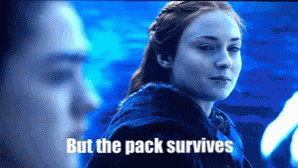 Sansa Gifs Tenor