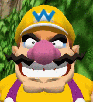 Wario World