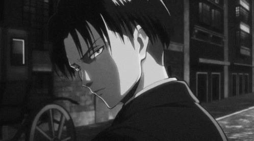 levi ackerman gif levi