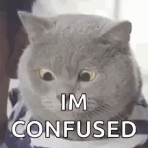Confused Cat GIF - Confused Cat - Discover & Share GIFs
