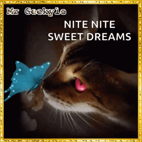 Nite Good Night GIF - Nite GoodNight SweetDreams - Discover & Share GIFs