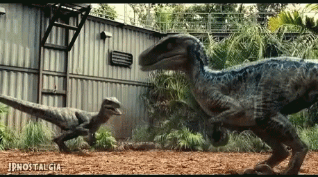 Jurassic Raptor GIF - Jurassic Raptor Dinosaur - Discover & Share GIFs