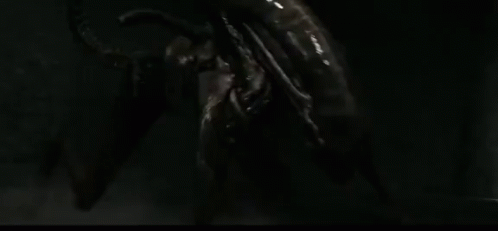 Xenomorph Gif 7 Xenomorph Gif 7