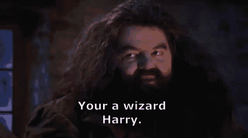 Image result for you are a wizard harry gif