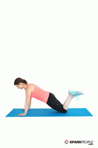 panda push up gif panda push up gif
