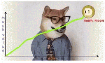 Dog Graph GIF - Dog Graph - Descubre & Comparte GIFs