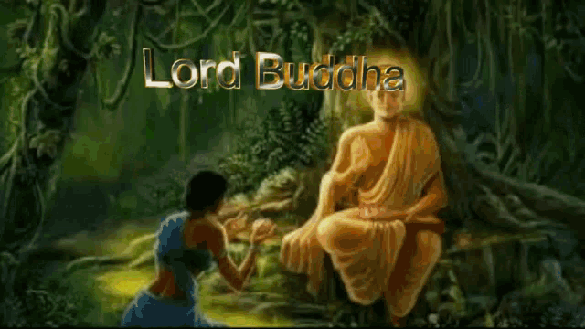 lord buddha gif lord buddha discover share gifs