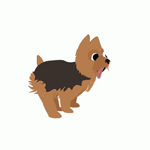 pics Animated Dog Running Gif yorkie dog gif yorkie dog run discover share gifs