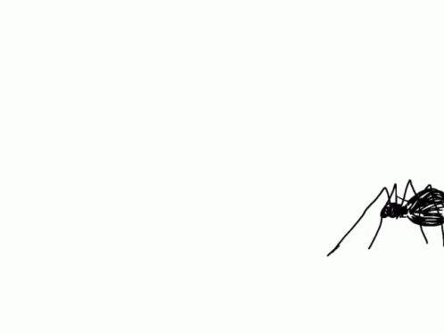 Spider GIF - Spider - Discover & Share GIFs