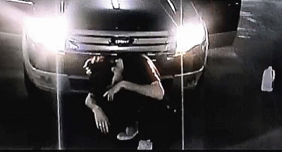 pix Bones Teamsesh Gif bones sesh gif bones sesh teamsesh discover share gifs