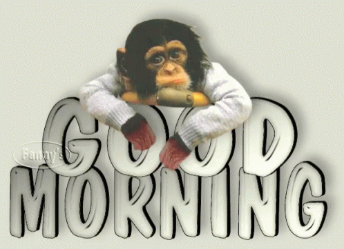 Good Morning Monkey GIF - GoodMorning Monkey GIFs