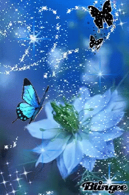 Butterflies GIF - Butterflies - Discover & Share GIFs