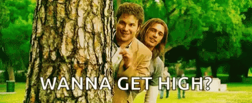 pineapple express im not your friend gif