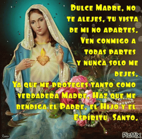 Dulce Madre Prayer GIF - DulceMadre Prayer VirginMary - Discover ...