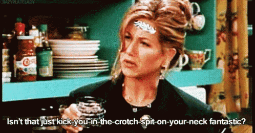 Image result for friends gifs