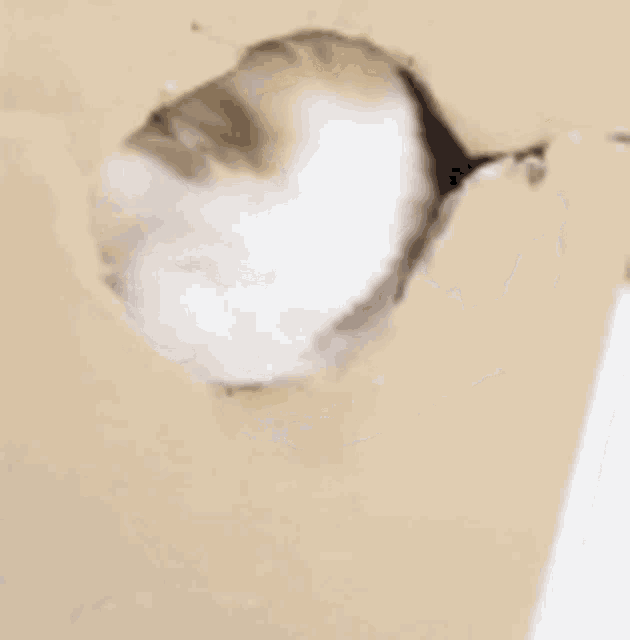 Pictures To Gif 1 4 0 6 Pictures To Gif 1 4 0 6