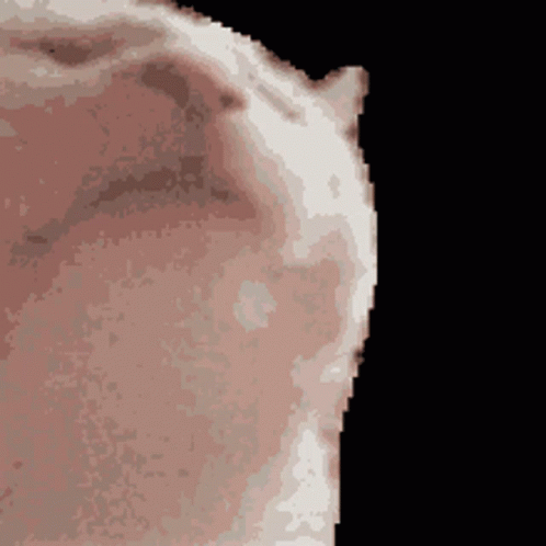 tenor.gif