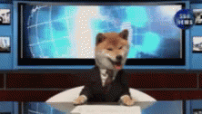 Breaking News Spongebob Gif Breaking News Spongebob Gif