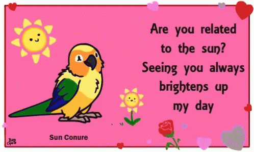conure pick up line