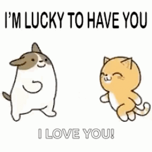 Love You Cute Gifs Tenor Love You Cute Gifs Tenor