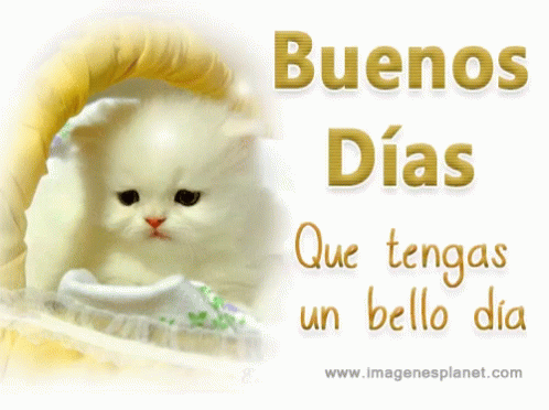buenos dias gif buenosdias